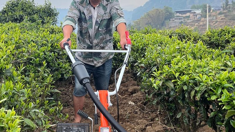 履带式联合收割机：农业机械化时代的“钢铁巨兽”**